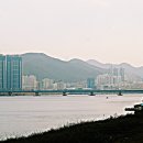 낙동강변 이미지