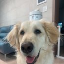 아주운동장 이미지