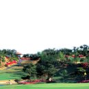 신안골프 이미지