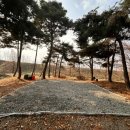 정원 캠핑장 티스토리