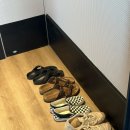 The millen 이미지