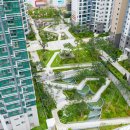 더퍼스트디자인 이미지