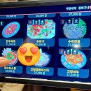 포토랩플러스강릉