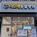 더오래 동물병원 | [더오래동물병원] 일산 동물병원 추천: 정성과 세심함이 있는 더오래동물병원 ♥