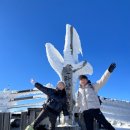 하산 | 12월 한라산 초보 준비물 관음사코스 등반 후기 / 하산 썰매 (고도별 사진 첨부)