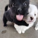 호수마을어울림 정문(우) | 三、