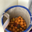 대건상회