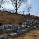 소신흑염소 이미지