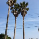 동홍점현대자동차 이미지