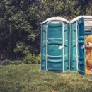 PET119동물병원 이미지