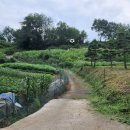 오케이농장 이미지