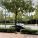 코코마리(coco mari) 이미지