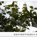 은주농장 이미지