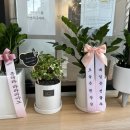 라라피아노교습소