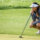 비앙카 카카오 검색결과