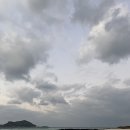 이성식목장 | JEJU B-log