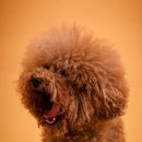 신명3길 이미지