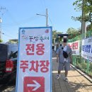 장항천막 | 충남 서천 꼴갑축제 다녀왔어요｜장항항에서 갑오징어회 꼴뚜기숙회 반반 먹은 후기