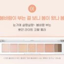 봄이 왔나 봄 | 정석 팔레트?! 페리페라 올테이크 무드 팔레트 01 봄바람이 부는 걸 보니 봄이 왔나 봄 내돈내산 후기