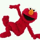 카페꽁냥 이미지