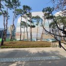 [12/02] 캘리그라피 취미반 | 팝업: [2026 Spring is Blooming 반클리프 아펠] 후기 / 타투 스티커, 씨앗 카드, 팝콘or음료 줘요! 안...