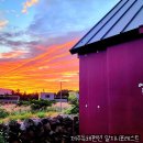 알지니포레스트 이미지