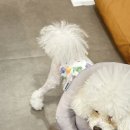 매너독 라이프 이미지