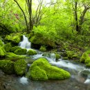 장하로 일원 이미지