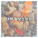 털보소막창 | [태백] 맛집 털보소막창/아기와 함께 다녀온 태백 소막창 맛집