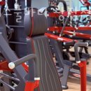 휘트니스풀바디 이미지