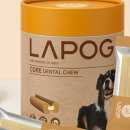 시현펫살롱 이미지