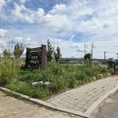국가유산체험학습지도사 이미지