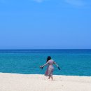 바다와 솔향기 이미지