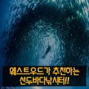 선두바다캠핑장 이미지