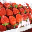 정호농장 이미지