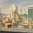 롯데 부산 파코라반베이비 | 임산부 50%할인 부산 서면 롯데호텔 라세느뷔페 예약방법 및 후기