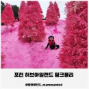 허브세상 | 포천 아기랑갈만한곳 허브아일랜드 핑크뮬리 가족 나들이 후기
