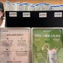전주 밀크티 맛집 전북대 카페 차백도 메뉴 추천 후기
