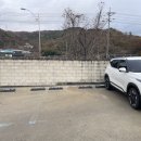 막썰이회센타