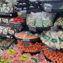 뉴월드카 이미지