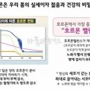 발효정원 이미지