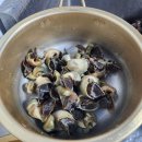 해인자연치유체험민박 | [갯벌체험 꿀팁] 초보도 성공하는 맛조개 잡는 법 대공개!