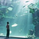 사이언스헤븐 이미지