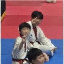 하랑태권도 이미지