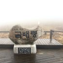 천상의 나무 | 강원도 인제 점봉산 천상의 화원 곰배령 - 비 오는 날 야생화 생태탐방 예약