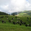 송천목장 이미지