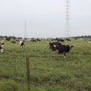 이시돌목장 이미지