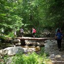 비엔나모텔 이미지