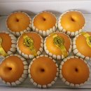 김순남 농장 이미지