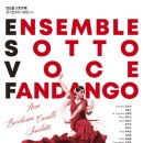 소토보체 이미지